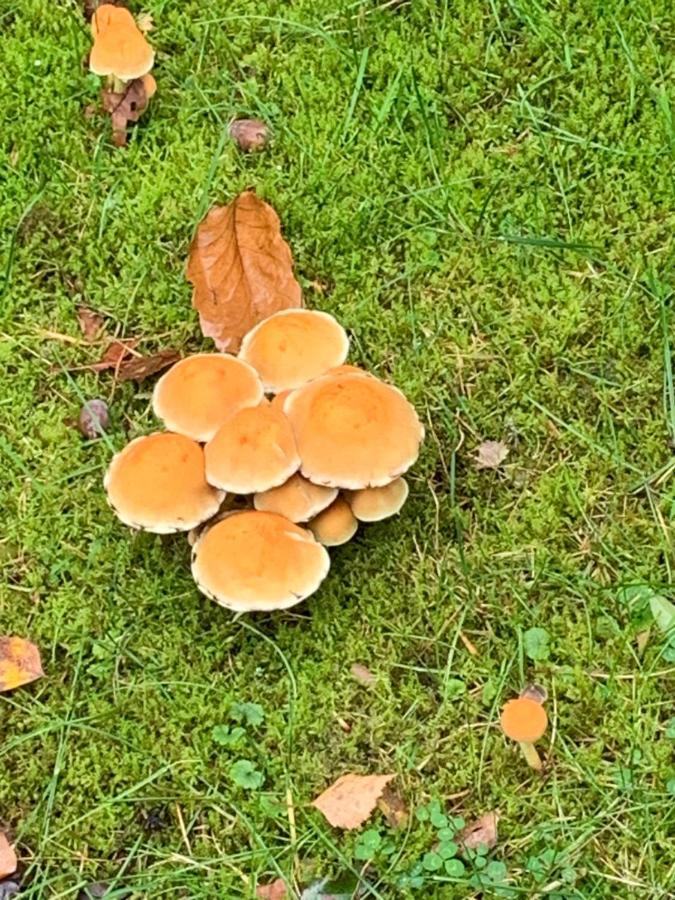 Vosseveen 62 Zelhem Bagian luar foto